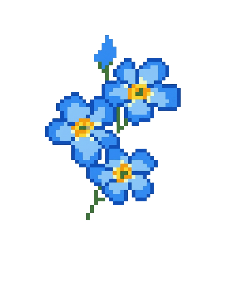 forget-me-not