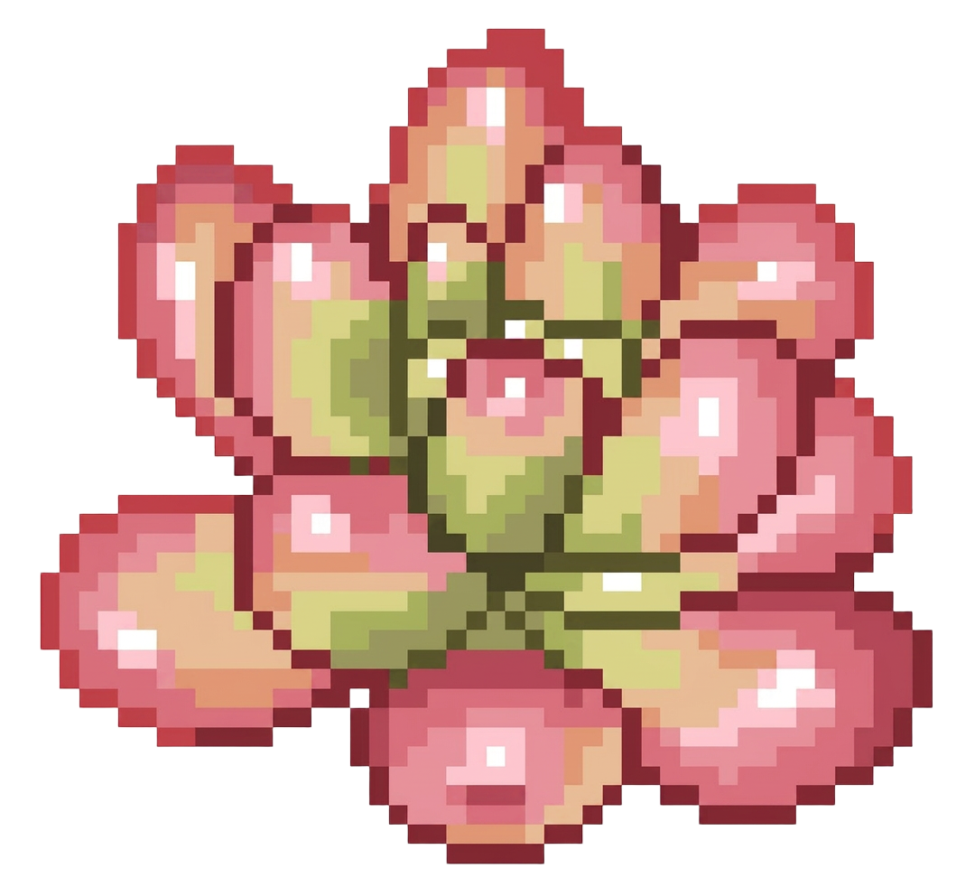 succulent